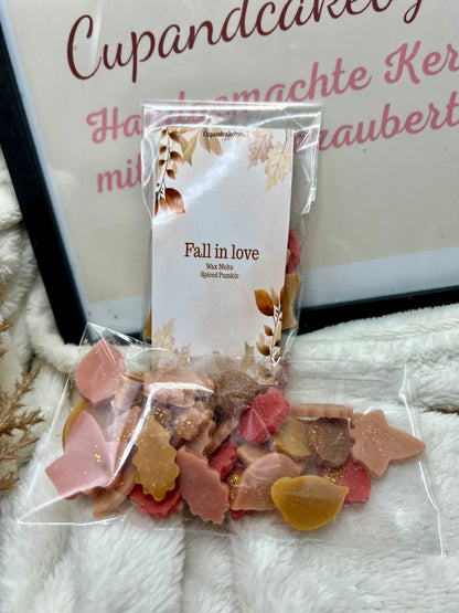 Fall in Love Wax Melts