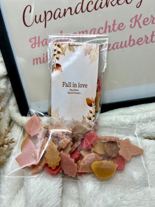 Fall in Love Wax Melts
