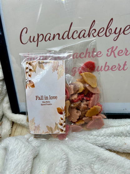 Fall in Love Wax Melts