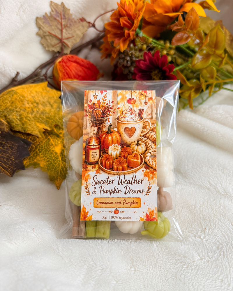Sweater Weather & Pumpkin Dreams Wax Melts aus Sojawachs mit Zimt und Kürbis Duft 30 g